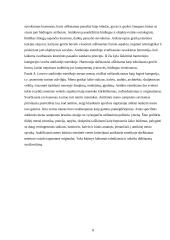 Antikos ir Helenizmo estetika 8 puslapis