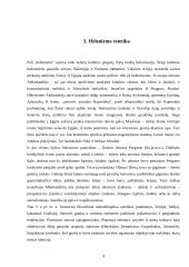 Antikos ir Helenizmo estetika 9 puslapis