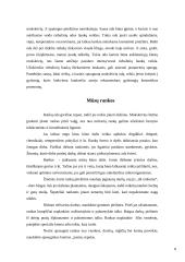 Bendroji kūno higiena 6 puslapis