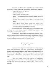 Bendroji kūno higiena 7 puslapis