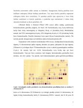 Homoseksualumo kilmė 7 puslapis