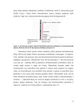 Homoseksualumo kilmė 8 puslapis