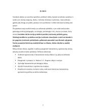 Humanistinių-egzistencinių teorijų taikymas socialinio darbo praktikoje 2 puslapis