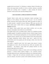 Humanistinių-egzistencinių teorijų taikymas socialinio darbo praktikoje 7 puslapis