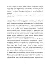 Humanistinių-egzistencinių teorijų taikymas socialinio darbo praktikoje 8 puslapis