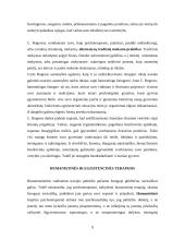 Humanistinių-egzistencinių teorijų taikymas socialinio darbo praktikoje 9 puslapis