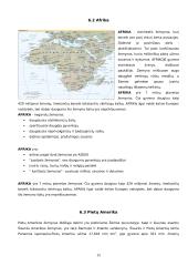 Humanitarinė pagalba trečio pasaulio šalims 15 puslapis