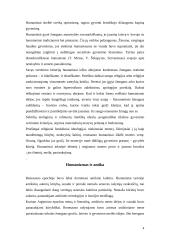 Humanizmo samprata ir žymiausi atstovai 4 puslapis