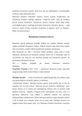 Humanizmo samprata ir žymiausi atstovai 5 puslapis