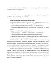 Idealaus biurokratinio valdymo teorija 4 puslapis