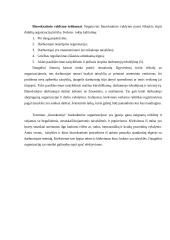 Idealaus biurokratinio valdymo teorija 5 puslapis