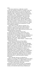 Idealaus biurokratinio valdymo teorija 7 puslapis