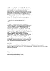 Idealaus biurokratinio valdymo teorija 8 puslapis