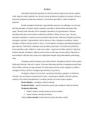 Idėjų generavimo metodai