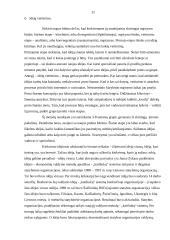 Idėjų generavimo metodai 11 puslapis