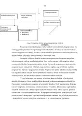 Idėjų generavimo metodai 14 puslapis