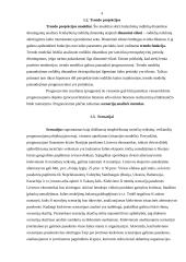 Idėjų generavimo metodai 4 puslapis