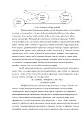 Idėjų generavimo metodai 7 puslapis