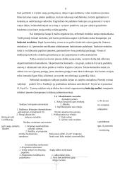 Idėjų generavimo metodai 8 puslapis