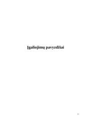 Įgaliojimų paskirstymas 11 puslapis