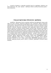 Įgaliojimų paskirstymas 8 puslapis