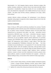 Ignalinos AE uždarymo problema 2 puslapis