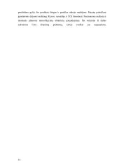 Ignalinos AE uždarymo problema 12 puslapis