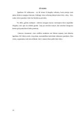 Ignalinos AE uždarymo problema 13 puslapis