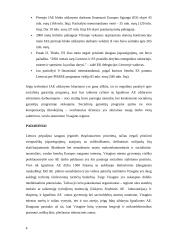 Ignalinos AE uždarymo problema 3 puslapis