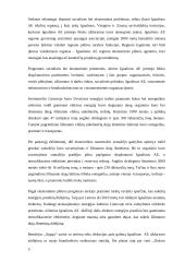 Ignalinos AE uždarymo problema 4 puslapis