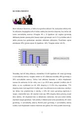 Ignalinos atominė elektrinė 2 puslapis