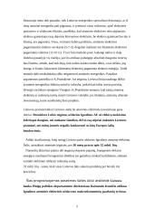 Ignalinos atominė elektrinė 5 puslapis