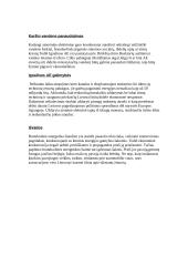 Ignalinos atominė elektrinė: energetika ir ekologija 12 puslapis