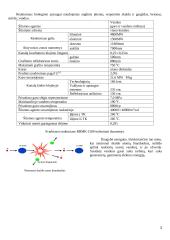 Ignalinos atominė elektrinė. Branduolinės energijos pozicija Lietuvoje 2 puslapis