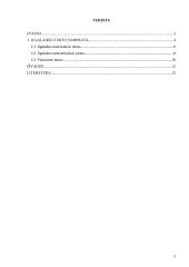 Ilgalaikis turtas: samprata ir klasifikavimo ypatumai 2 puslapis