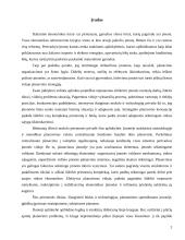 Įmonė kaip planavimo objektas