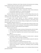 Įmonė kaip planavimo objektas 11 puslapis