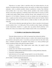 Įmonė kaip planavimo objektas 12 puslapis