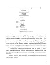 Įmonė kaip planavimo objektas 13 puslapis