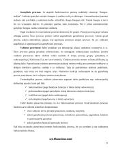 Įmonė kaip planavimo objektas 14 puslapis