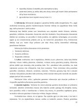 Įmonė kaip planavimo objektas 17 puslapis