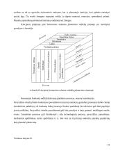 Įmonė kaip planavimo objektas 18 puslapis