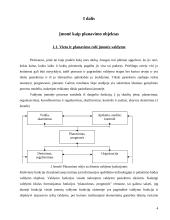 Įmonė kaip planavimo objektas 3 puslapis