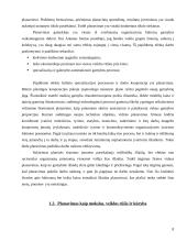 Įmonė kaip planavimo objektas 7 puslapis