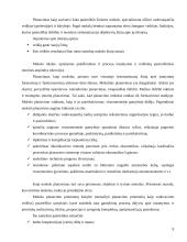 Įmonė kaip planavimo objektas 8 puslapis