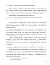 Įmonė kaip planavimo objektas 9 puslapis