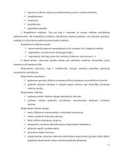 Įmonė kaip planavimo objektas 10 puslapis