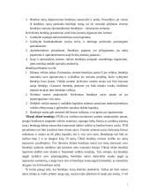 Įmonių skirstymo pagrindai 7 puslapis