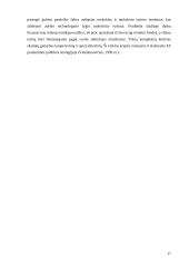 Įmonės (šakos) konkurencingumo didinimas inovacijų pagrindu 17 puslapis