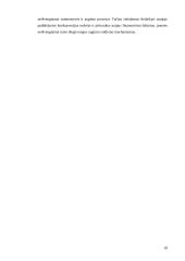 Įmonės (šakos) konkurencingumo didinimas inovacijų pagrindu 19 puslapis